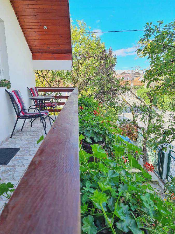 Forest Apartment Nikšić المظهر الخارجي الصورة