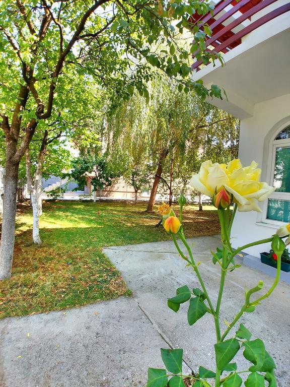 Forest Apartment Nikšić المظهر الخارجي الصورة