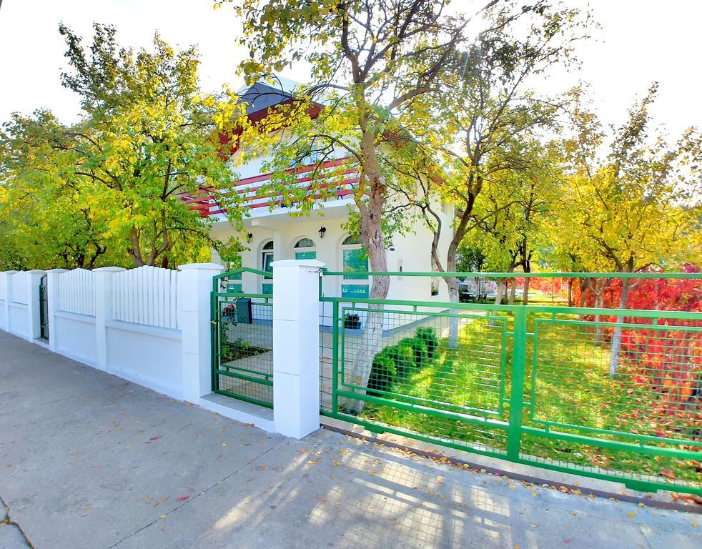 Forest Apartment Nikšić المظهر الخارجي الصورة